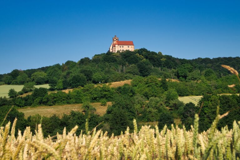 Read more about the article 12tel Blick – Juni 2022