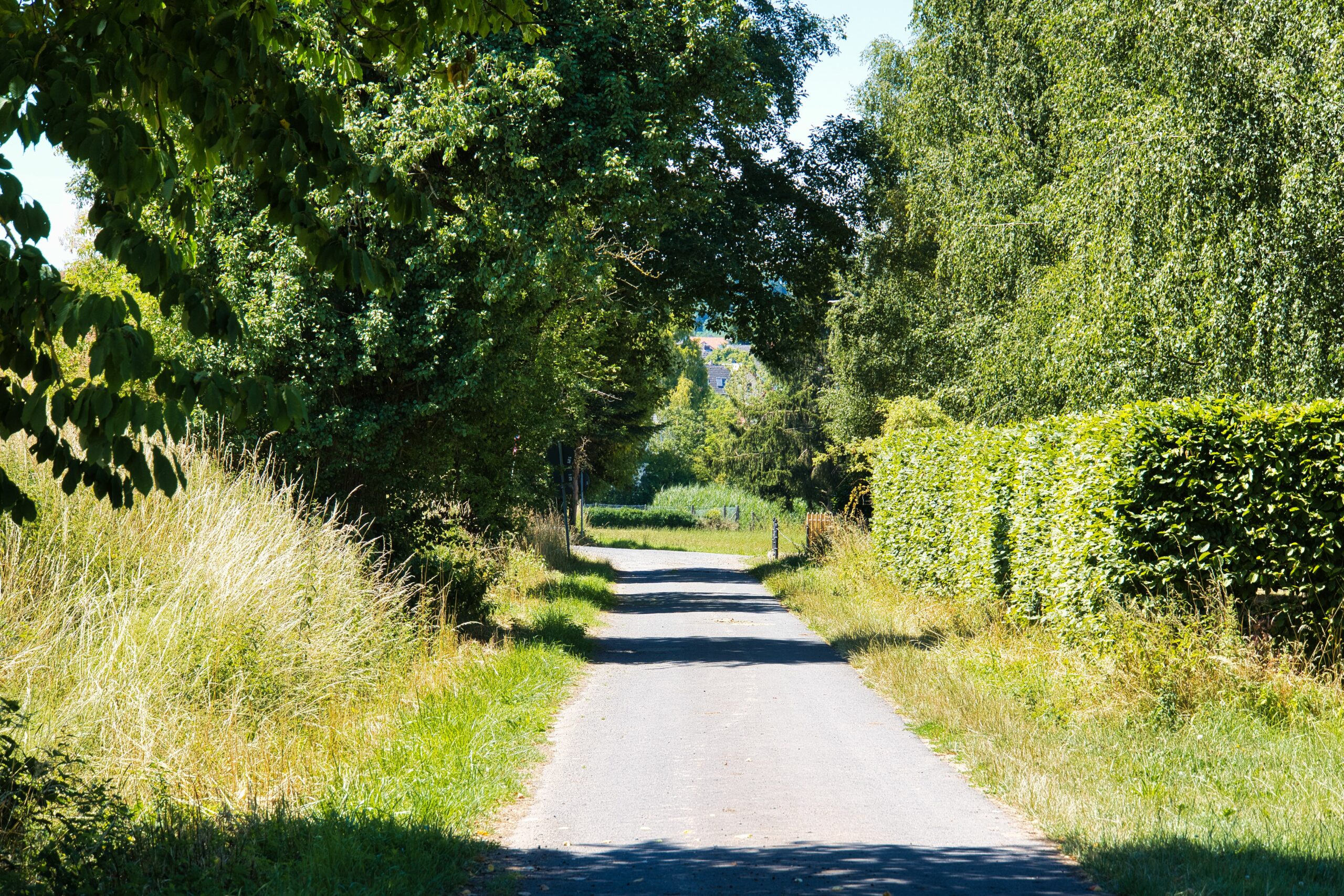 Mehr über den Artikel erfahren 12 von 12 im Juli 2022