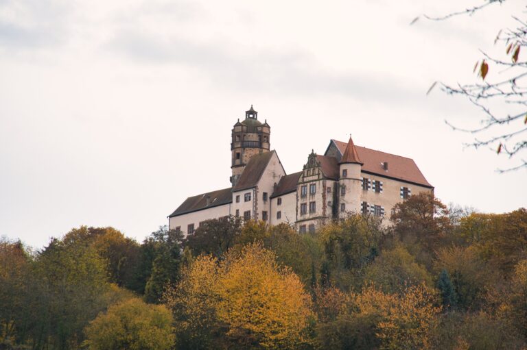 Read more about the article 12tel-Blick – November 2022