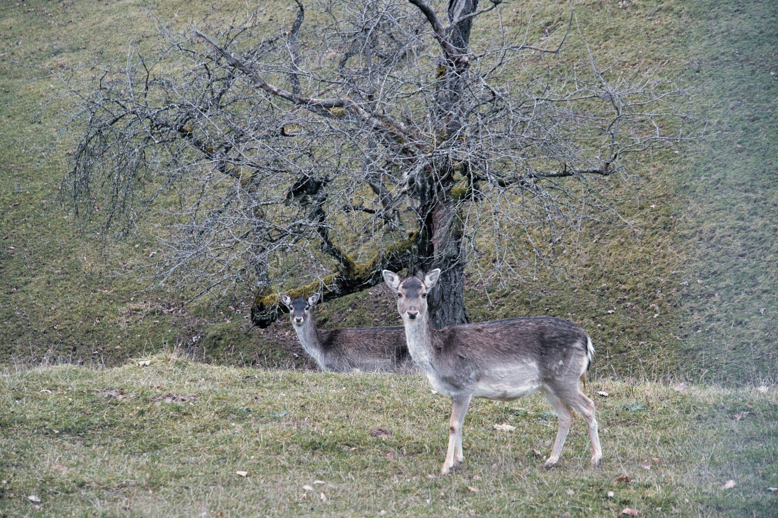 You are currently viewing Neues Jahr, neues Glück …