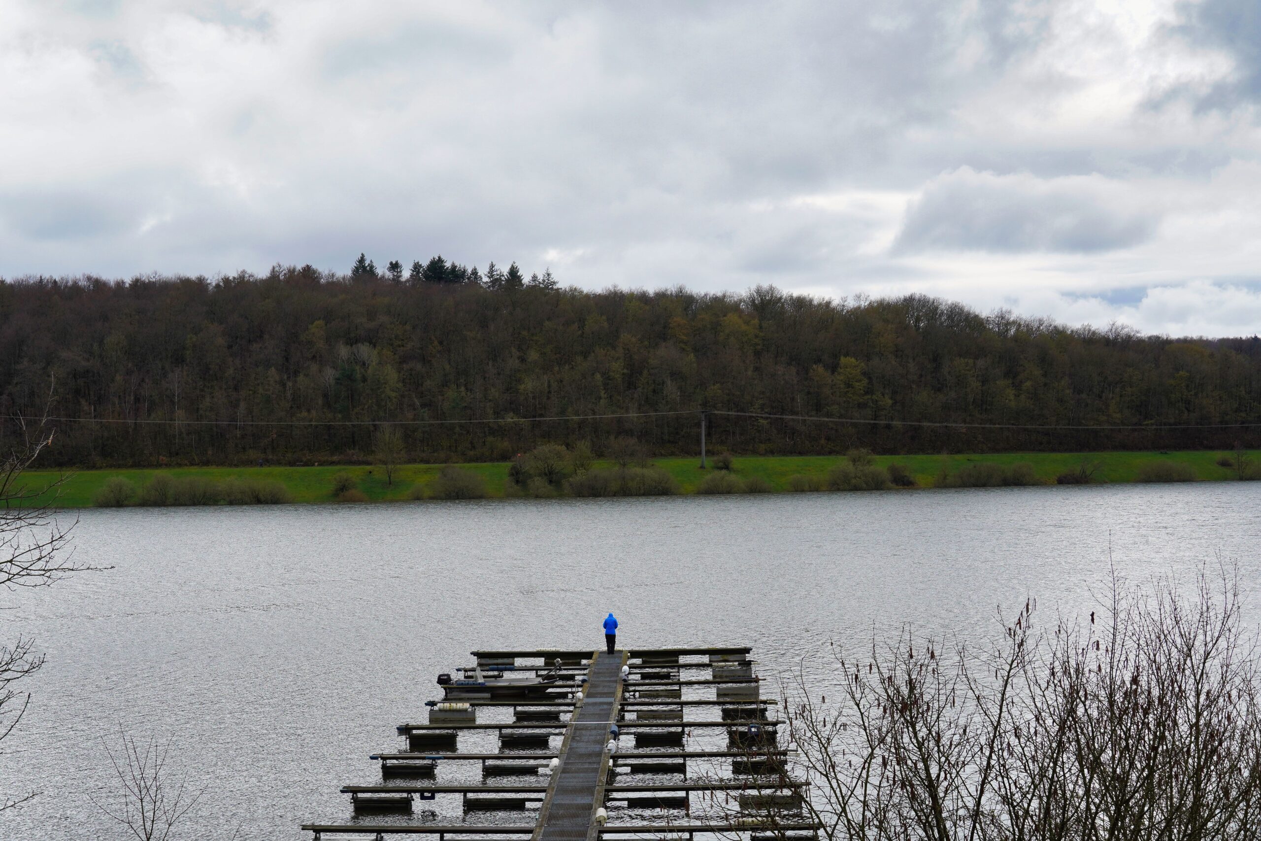 Mehr über den Artikel erfahren Runde um den Niddastausee (Niddatalsperre)