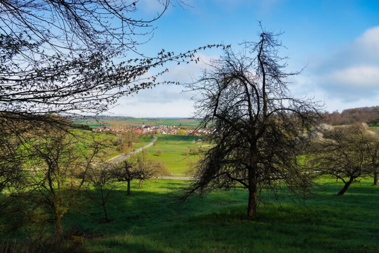 Read more about the article 12tel Blick – April 2023