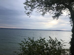 Mehr über den Artikel erfahren Monatsrückblick – August 2023