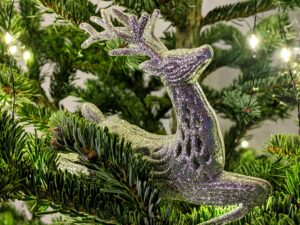 Mehr über den Artikel erfahren Vorweihnachtsfreuden