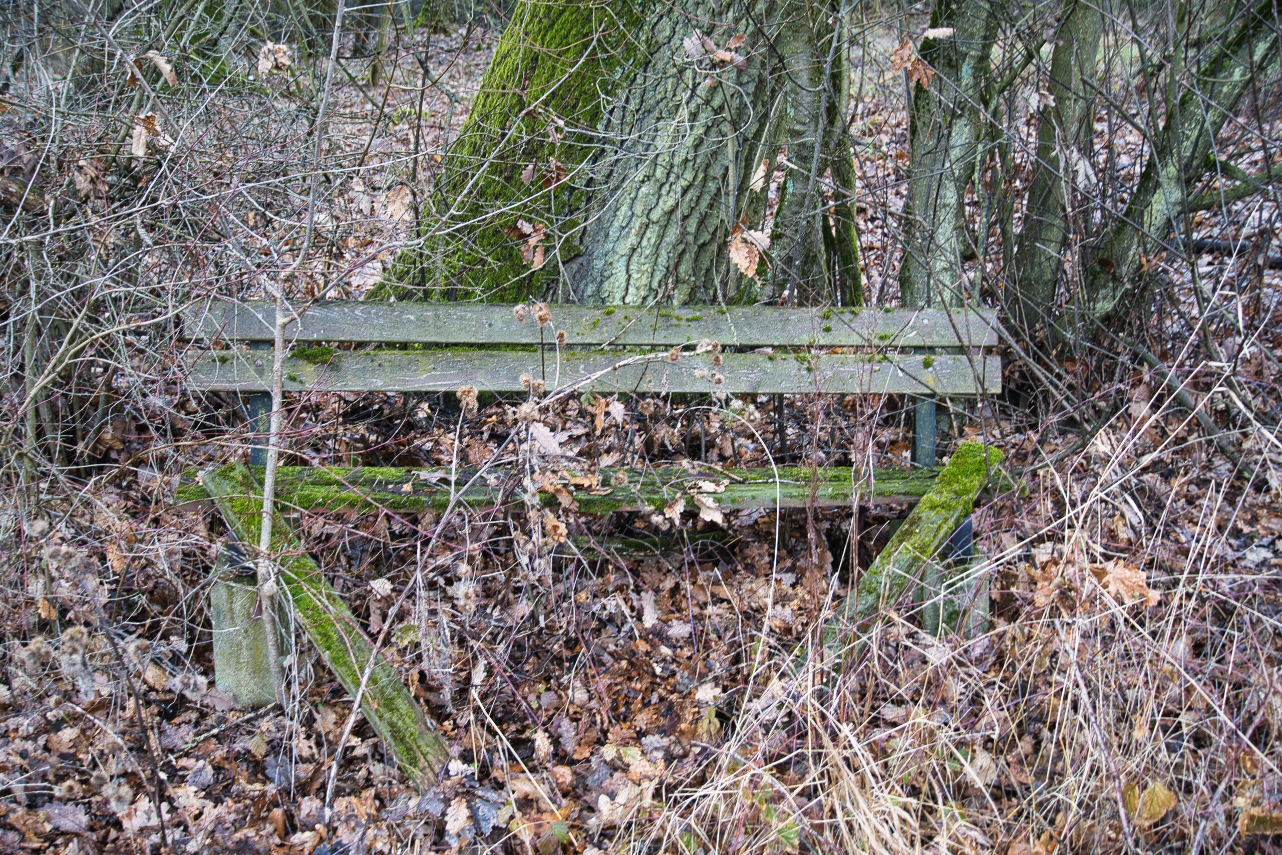 Mehr über den Artikel erfahren Durch den Skulpturenpark in Bad Salzhausen