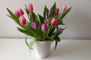 Mehr über den Artikel erfahren Lila Rosen