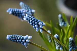 Mehr über den Artikel erfahren Nature Thursday – #13/2025